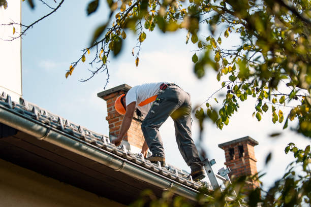 Best Roof Restoration Services  in Merrill, IA