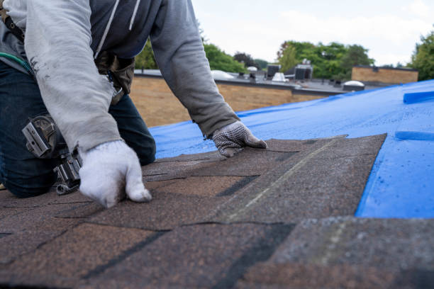 Best Flat Roof Repair Services  in Merrill, IA
