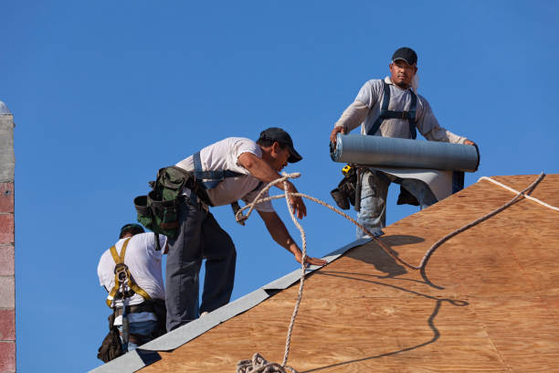 Best Commercial Roof Installation  in Merrill, IA