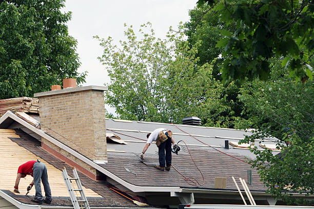 Best Metal Roofing Contractor  in Merrill, IA